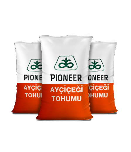 Pioneer 130 (ilaçsız)