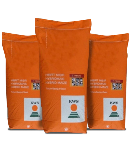 Mısır - KWS Kontigos