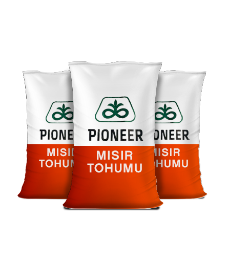 Mısır - PIONEER 0937