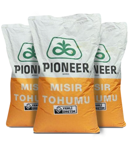 Pioneer 31G98 Mısır Tohumu