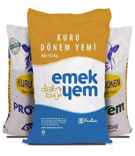 Kuru Dönem
