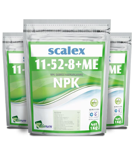 Scalex 11-52-8 1 Kg
