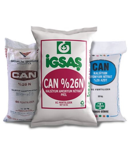 CAN 26