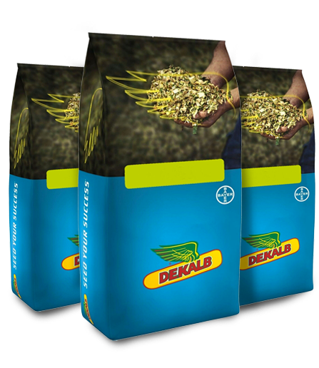 Dekalb C955