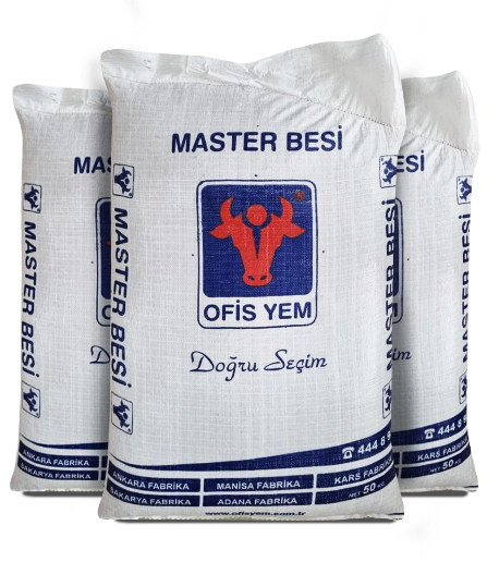 Master Besi Yemi