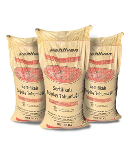 Pehlivan Sertifikalı Buğday Tohumu