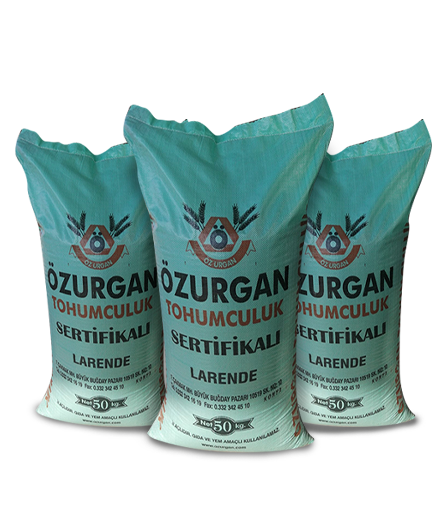 Larende Sertifikalı Arpa Tohumu
