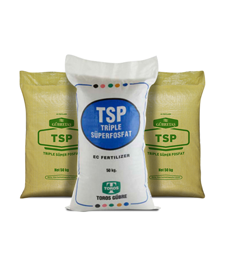 TSP